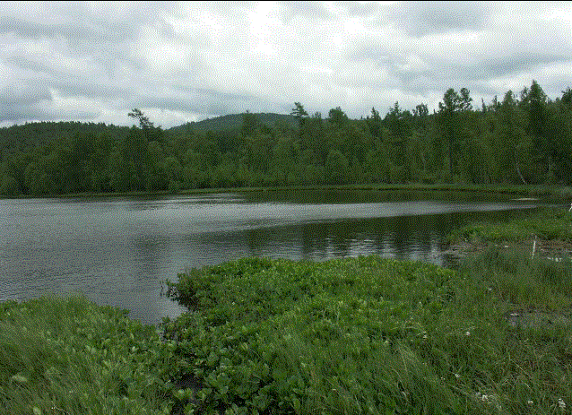 Озеро Дикое. (Ландшафтный памятник природы).