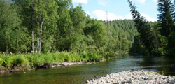 Река Томь Река Томь